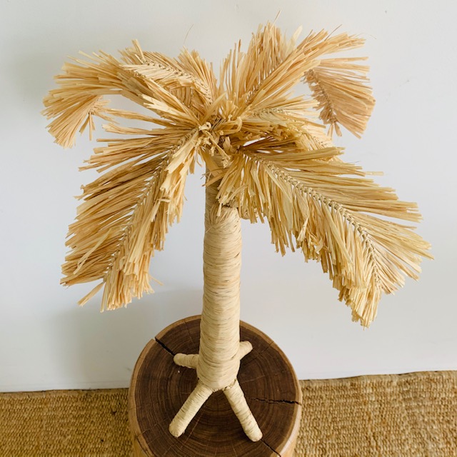 Small Raffia Coconut Palm Tree – Island Collective