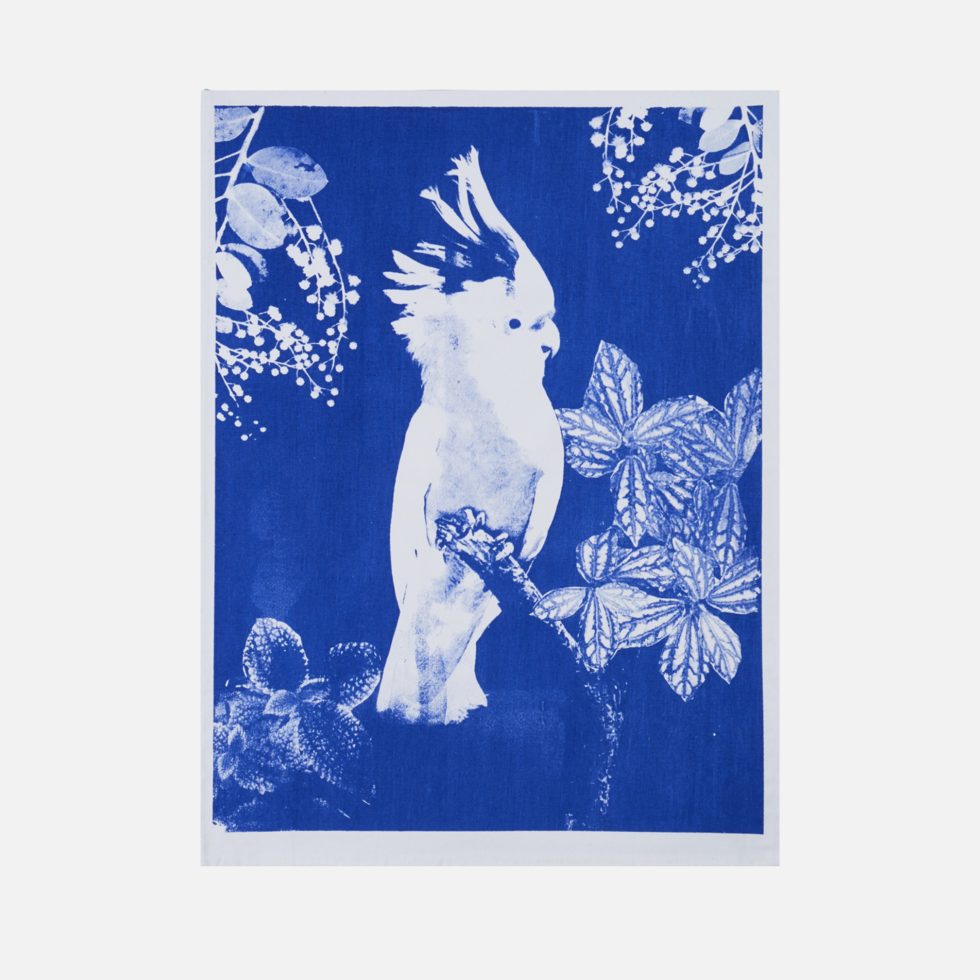 https://s9b9h6p2.rocketcdn.me/wp-content/uploads/2023/11/TTC06-Big-Major-Blue-Cotton-Tea-Towel-Flat-Lay-View.jpg